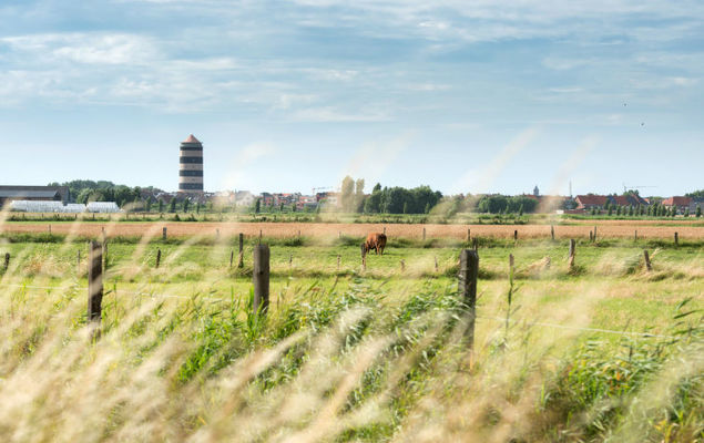 Residentie Zeeparel - Photo 8