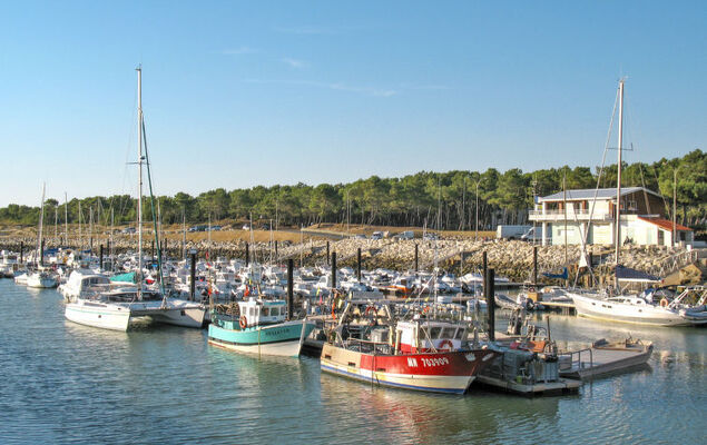 Les Charmilles - Photo 42