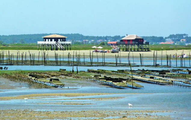 La Résidence - Photo 5