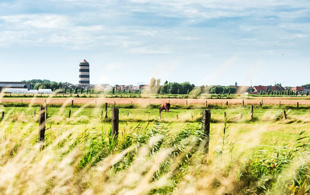 Deauville II - Photo 23