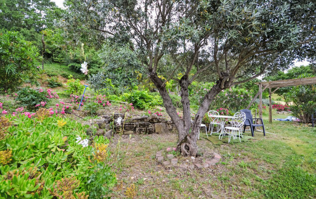 Douce campagne - Photo 21