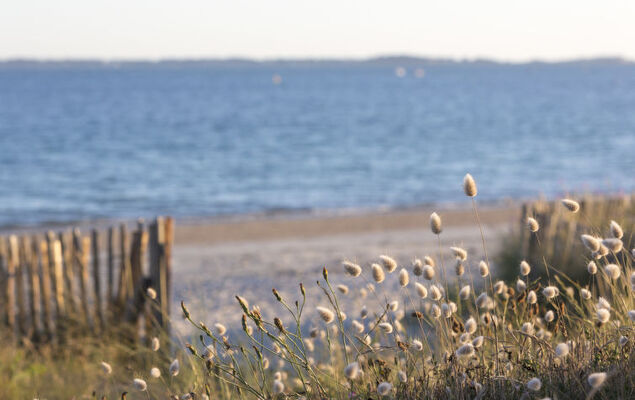 Otello 3 - L'Ibis rouge - Photo 26
