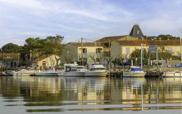 Les Terrasses de la Méditerranée - Photo 29
