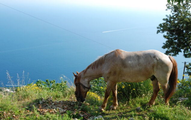 La dea della stella polare - Photo 16