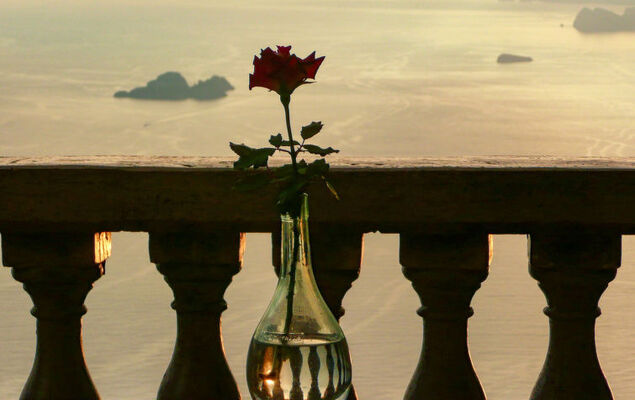 La dea della stella polare - Photo 19