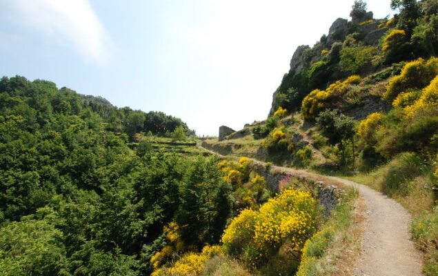 La dea della stella polare - Photo 29