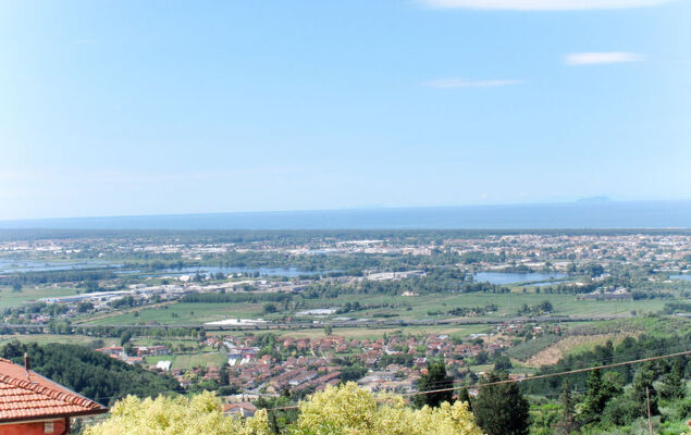 La Frida 2 - Photo 43